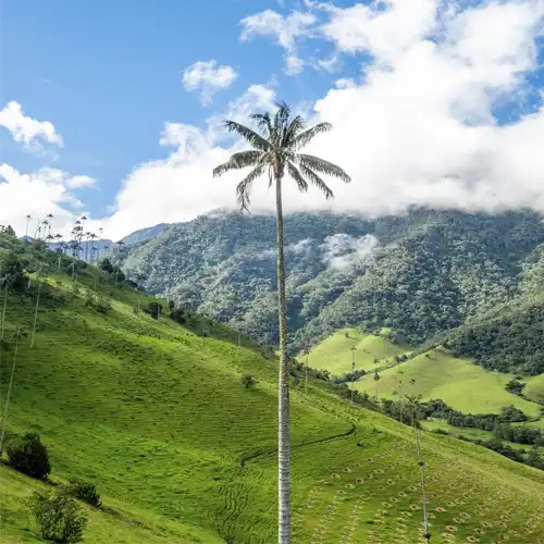 EJE-CAFETERO-COCORA-SUPERPROMO-ONVACATION